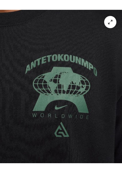 Giannis Tee M90 Erkek Tişört FV8408-010