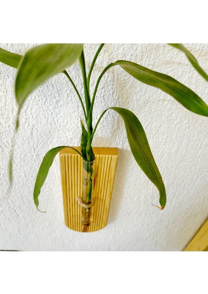 Renkli Ahşap Duvar Çiçeklik, Dekoratif ve Şık Tasarım, Çiçekler Için Uygun