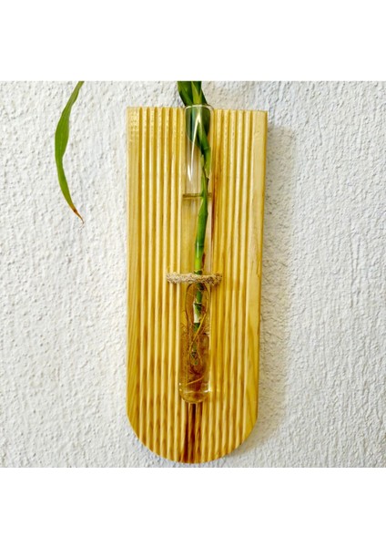 Renkli Ahşap Duvar Çiçeklik, Dekoratif ve Şık Tasarım, Çiçekler Için Uygun modelleri