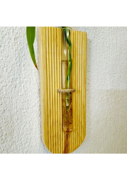 Renkli Ahşap Duvar Çiçeklik, Dekoratif ve Şık Tasarım, Çiçekler Için Uygun indirimleri