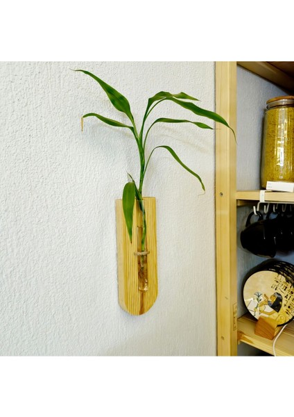 Renkli Ahşap Duvar Çiçeklik, Dekoratif ve Şık Tasarım, Çiçekler Için Uygun