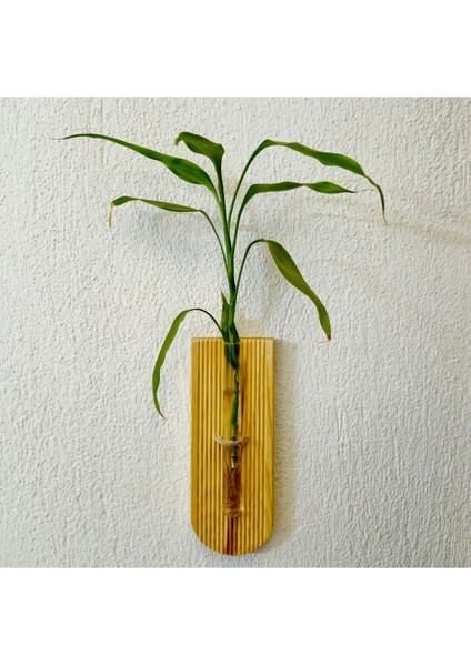 Renkli Ahşap Duvar Çiçeklik, Dekoratif ve Şık Tasarım, Çiçekler Için Uygun