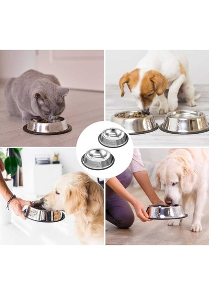 2'li Paslanmaz Çelik Mama ve Su Kabı, 16 cm Alt Taban, 250 ml (8 Oz) fiyatları