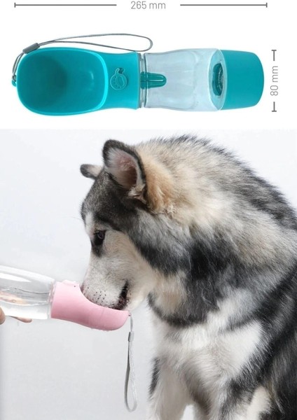 Çok Renkli 2'li Hazneli Suluk, 380ML, Seyahat ve Günlük Kullanım Için