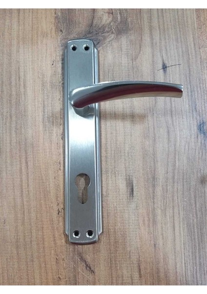 Şık Aynalı Nikel Saten Dış Kapı Kolu, Dayanıklı ve Estetik Tasarım fiyatları