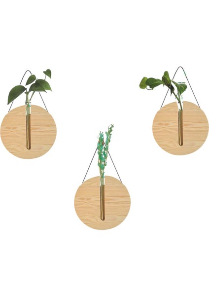 Renkli Cam ve Ahşap Vazo Seti, Duvar Çiçekliği ile Dekorasyon Havası