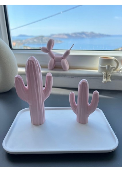 Kaktüs Tasarımlı Pembe Takı Askısı, Yüzük, Küpe, Kolye Organizer