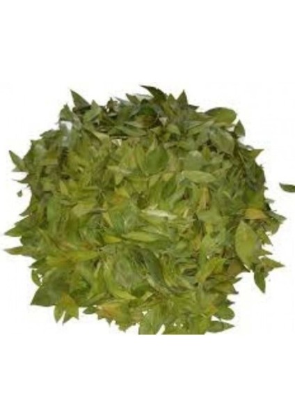 Sidr Yaprağı (Zizyphus Spina),arabistan Kirazı Yaprağı, 100gr, Derya Eren modelleri