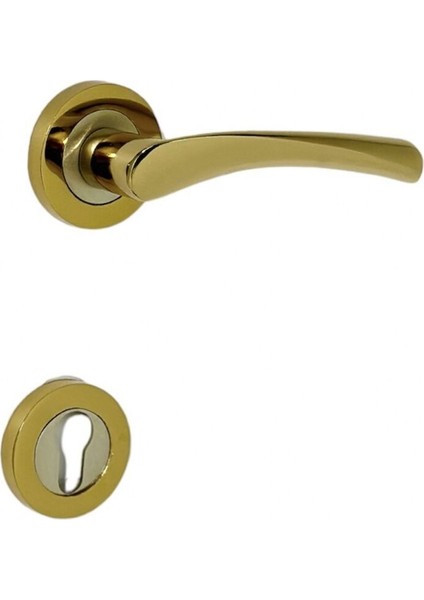 Çelik Kapı Kolu, Sağ Basar, Rozetli, Dayanıklı ve Şık Tasarım, 1 Adet