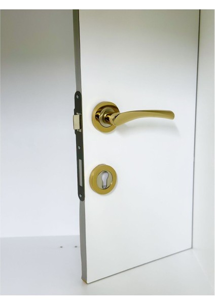 Çelik Kapı Kolu, Sağ Basar, Rozetli, Dayanıklı ve Şık Tasarım, 1 Adet fiyatları