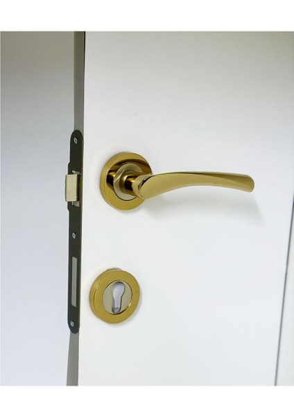 Çelik Kapı Kolu, Sağ Basar, Rozetli, Dayanıklı ve Şık Tasarım, 1 Adet modelleri