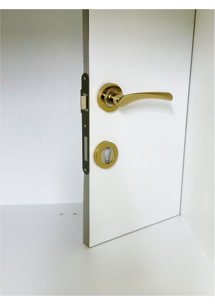 Çelik Kapı Kolu, Sağ Basar, Rozetli, Dayanıklı ve Şık Tasarım, 1 Adet fırsatları