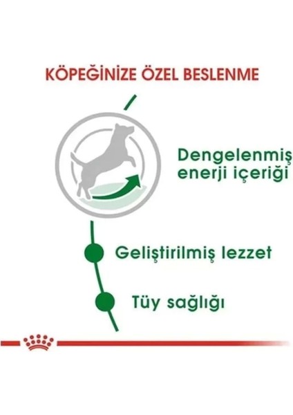 Mini Küçük Irk Yetişkin Köpek Maması, 2 Kg, Renkli ve Lezzetli Seçenekler modelleri
