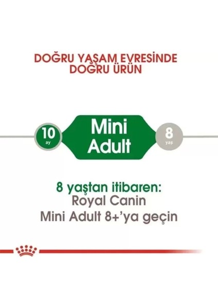 Mini Küçük Irk Yetişkin Köpek Maması, 2 Kg, Renkli ve Lezzetli Seçenekler fırsatları
