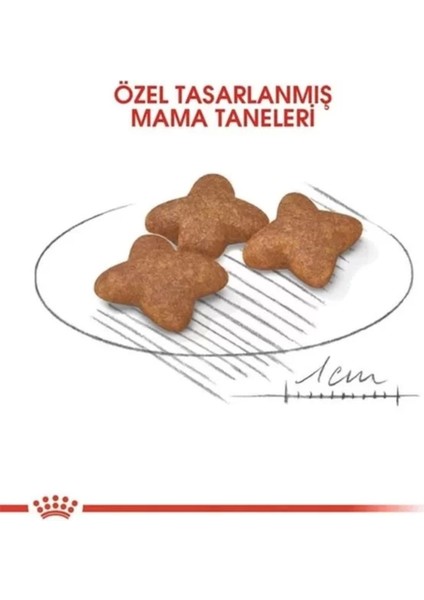 Mini Küçük Irk Yetişkin Köpek Maması, 2 Kg, Renkli ve Lezzetli Seçenekler indirimleri