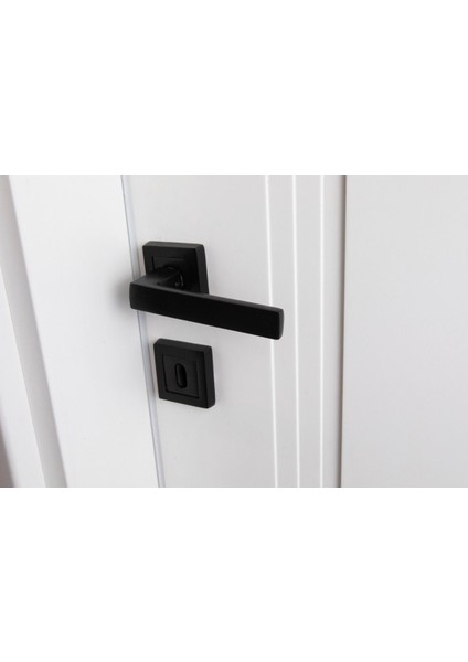 Şık Metal Lama Kapı Kolu Takımı, Dayanıklı ve Modern Tasarım