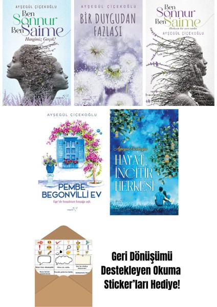 Ayşegül Çiçekoğlu 5 Kitap Seti