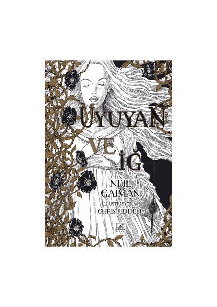 Uyuyan ve Iğ + Sonsuzluk Çarkı – Ara Dünya 3 (Ciltli) + Sandman 9 – Merhametliler