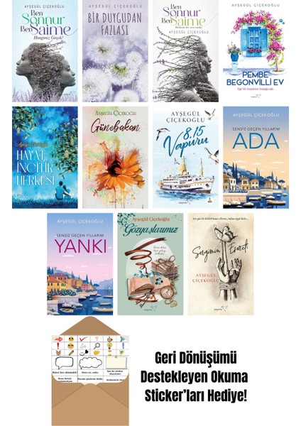 Ayşegül Çiçekoğlu 11 Kitap Seti