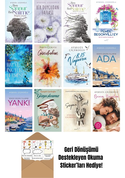 Ayşegül Çiçekoğlu 12 Kitap Seti