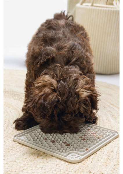 Gri Kare Silikon Yavru Köpek Yaş Mama Yeme Oyuncağı 20X20CM modelleri