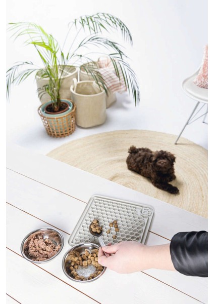 Gri Kare Silikon Yavru Köpek Yaş Mama Yeme Oyuncağı 20X20CM fırsatları