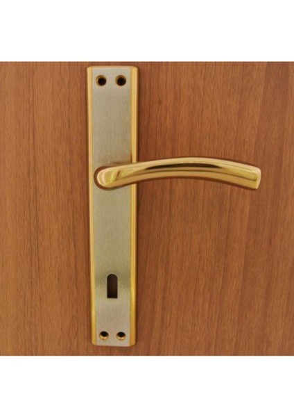 Şık Saten Aynalı Kapı Kolu, Modern ve Pratik Tasarım