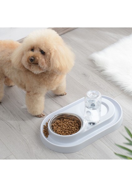 Mavi Kedi Köpek Mama ve Su Kabı, Şık ve Pratik Evcil Hayvan Aksesuarı fiyatları