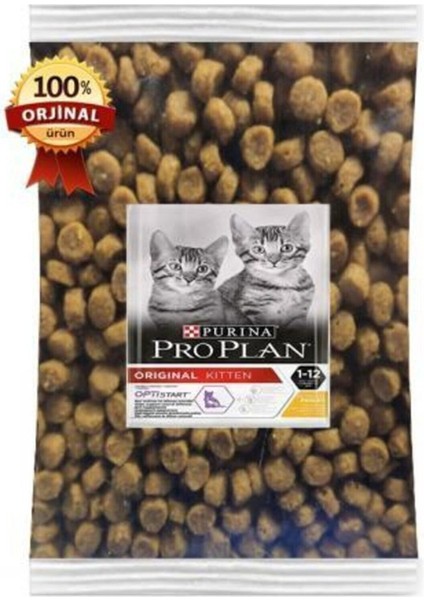 Tavuklu Yavru Kedi Maması 1.4kg + Kab Hediye fiyatları