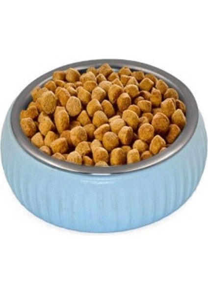 Mavi Organik Seramik Mama Kabı, Sağlıklı ve Şık Evcil Hayvan Yemeği Kabı