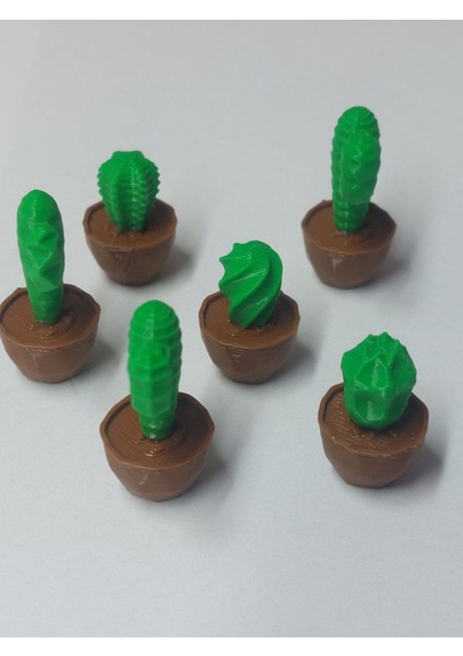Yeşil 6'lı Mini Kaktüs Seti, Sukulent Teraryum ve Süs Obje Aksesuarları