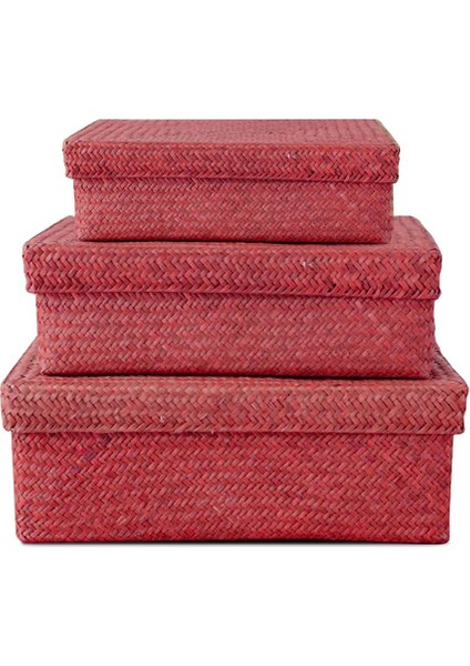 3 Adet Çok Amaçlı Hasır Sepet, Düzenleyici, Kırmızı, Pratik ve Şık Kullanım. fiyatları