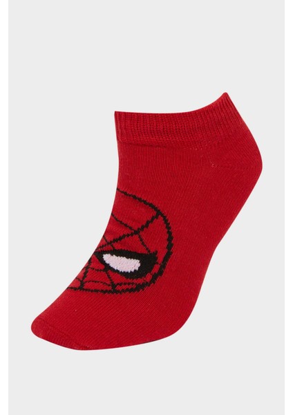 Erkek Çocuk Marvel Spiderman 3'lü Pamuklu Patik Çorap F4614A8NS modelleri