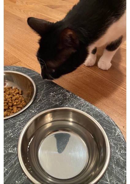 Mermer Desenli, 2'li Ahşap Kedi Mama ve Su Kabı Seti