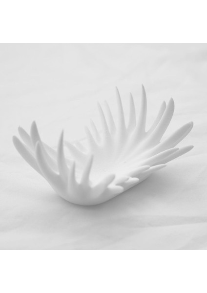 Çok Amaçlı Diken Tepsi, Takı ve Anahtarlık Düzenleyici, Beyaz modelleri