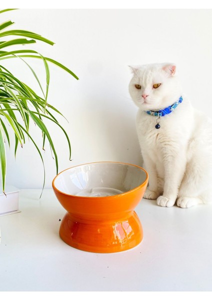 Turuncu Seramik Yavaş Yeme Mama Kabı, Şık ve Pratik Köpek ve Kedi Kullanımına Uygun
