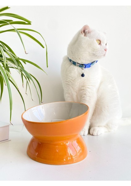 Turuncu Seramik Yavaş Yeme Mama Kabı, Şık ve Pratik Köpek ve Kedi Kullanımına Uygun fiyatları