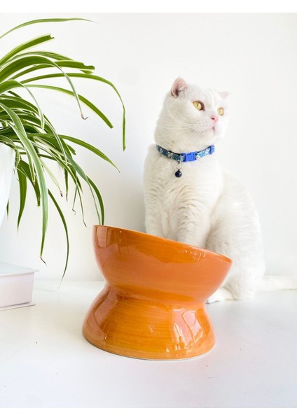 Turuncu Seramik Yavaş Yeme Mama Kabı, Şık ve Pratik Köpek ve Kedi Kullanımına Uygun modelleri