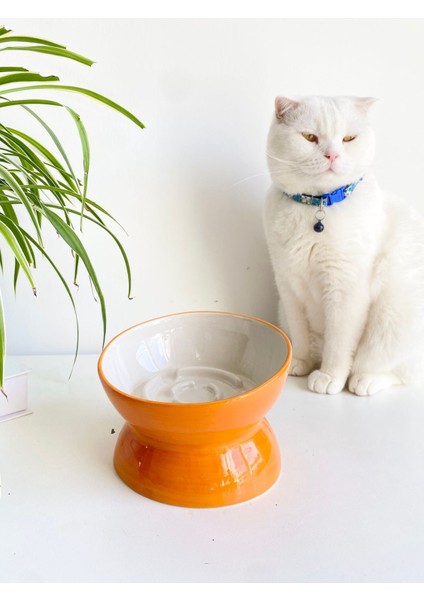 Turuncu Seramik Yavaş Yeme Mama Kabı, Şık ve Pratik Köpek ve Kedi Kullanımına Uygun fırsatları