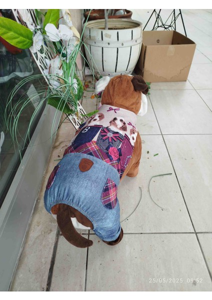 Kedi&köpek Slopet Askılı Pantolon fiyatları