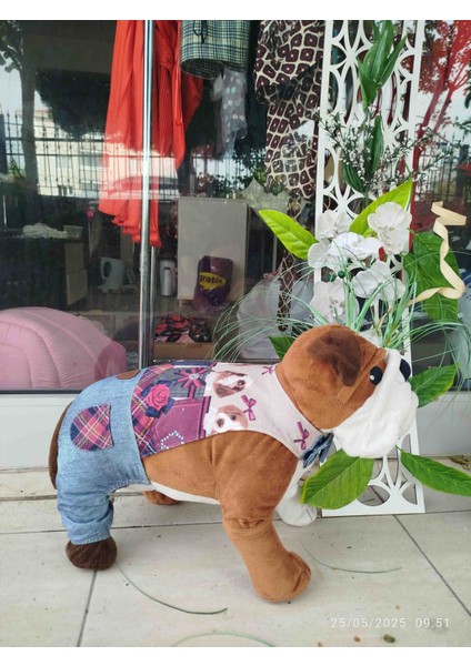 Kedi&köpek Slopet Askılı Pantolon modelleri