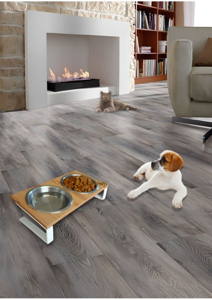 Sağlıklı Yeme Standı, %10 Eğimli ve Kaymaz Ayaklar, Kedi ve Köpekler Için modelleri
