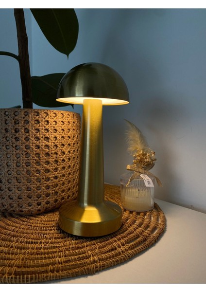 Dokunmatik Masa Lambası, Mantar Tasarım, 3 Renkli Işık, Ayarlanabilir ve Şık. modelleri