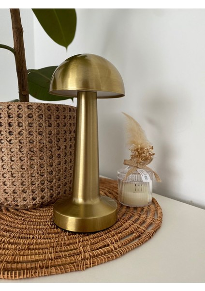 Dokunmatik Masa Lambası, Mantar Tasarım, 3 Renkli Işık, Ayarlanabilir ve Şık. fırsatları