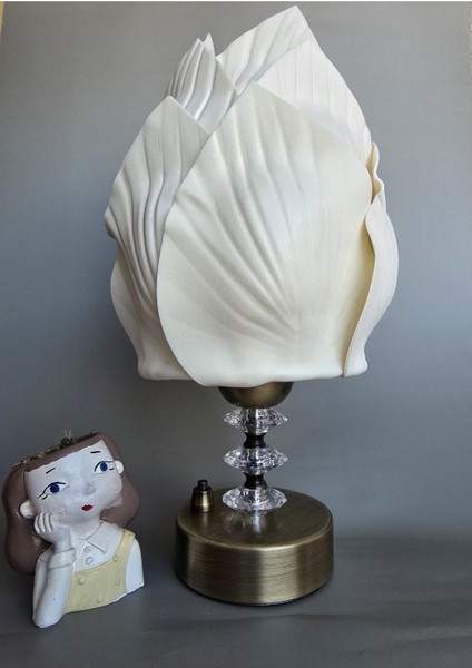 Taşınabilir Pilli Abajur ve Gece Lambası, Şık ve Pratik Aydınlatma Seçeneği modelleri