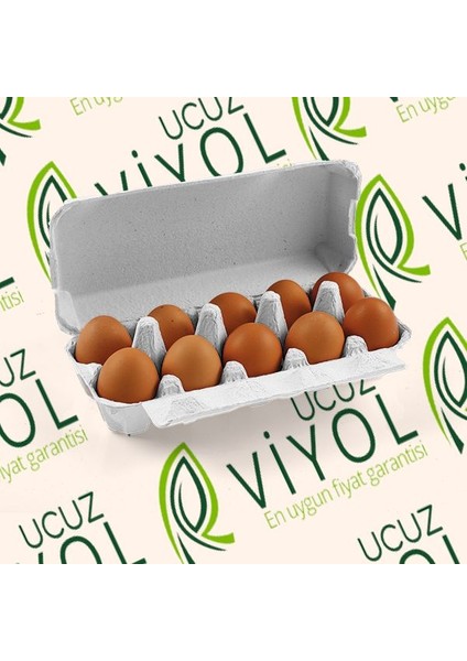 10 Lu Karton Kapaklı Yumurta Viyolü 30 Adet fiyatları