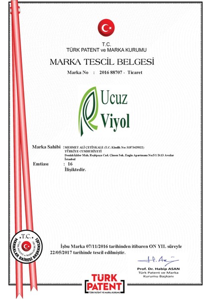10 Lu Karton Kapaklı Yumurta Viyolü 30 Adet