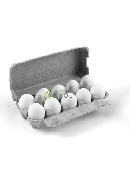 10 Lu Karton Kapaklı Yumurta Viyolü 30 Adet