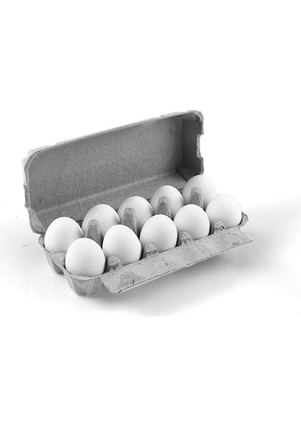 10 Lu Karton Kapaklı Yumurta Viyolü 30 Adet