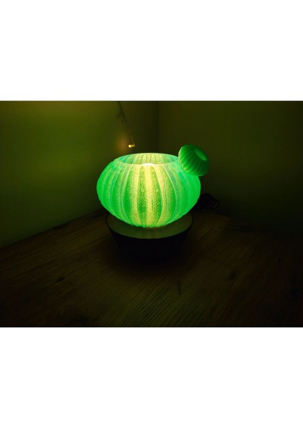 Yeşil Cactus Abajur, Şık ve Modern Dekoratif Aydınlatma Seçeneği modelleri